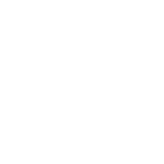 Icon LinkedIn